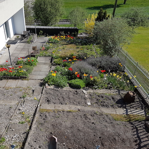 Garten Boniswil Vorher